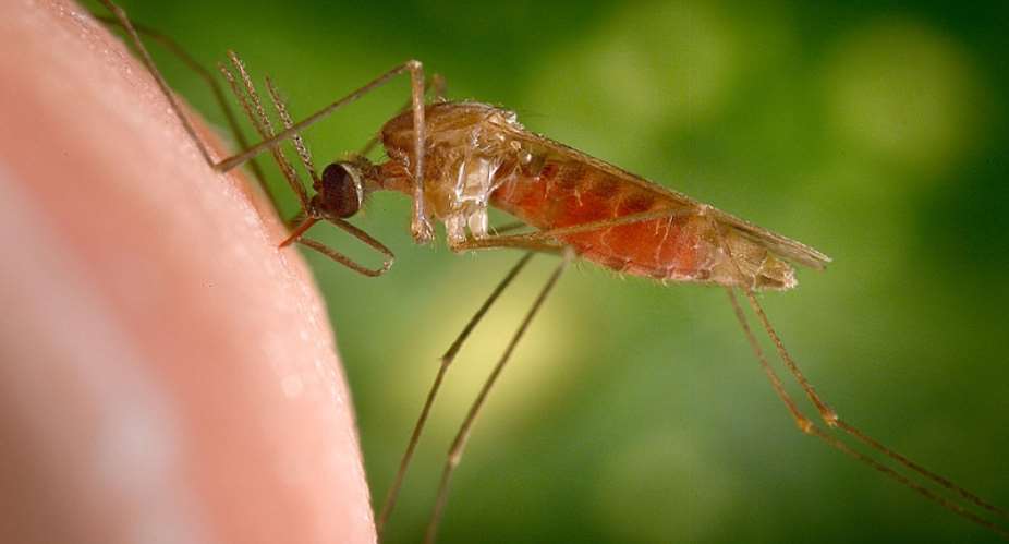 Malaria in Ghana: The Bad News, The Good News, and the Way Forward