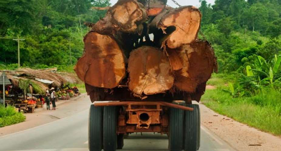Ghana Likely To Import Timber From Liberia
