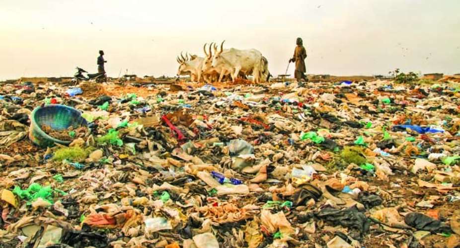 Interview Transcript: Inside the Fight Against Soil Pollution