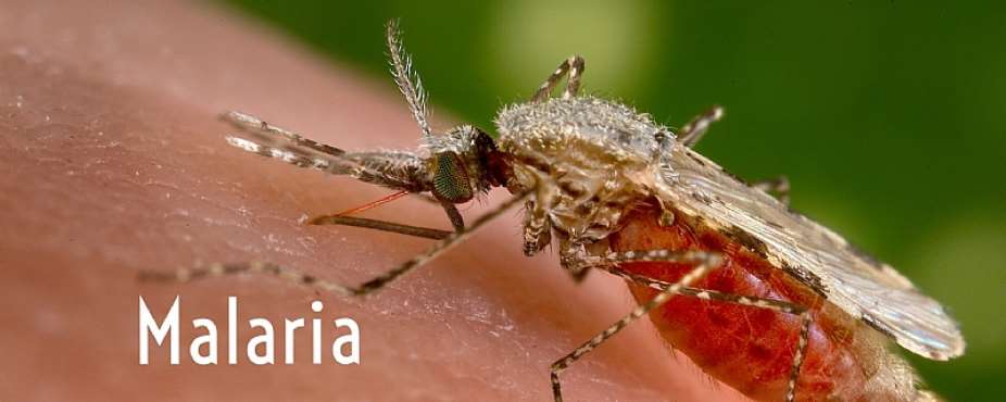 Malaria deaths fall by 98% since 2011 – GHS