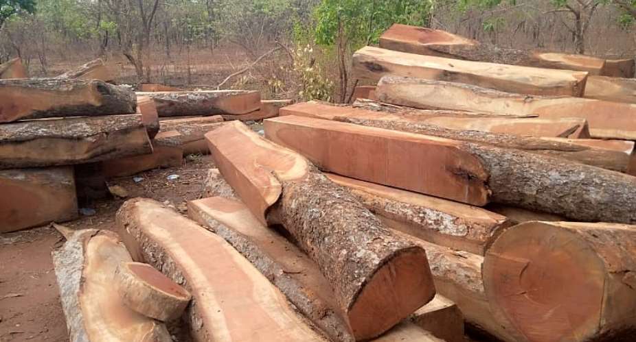SR: 1,042,580 Trees destroyed every year
