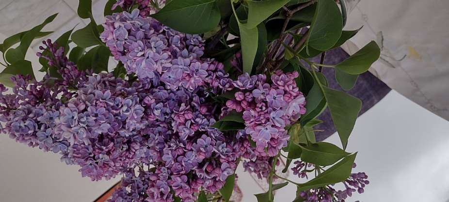 Life is a Journey: Live it (Part 34)