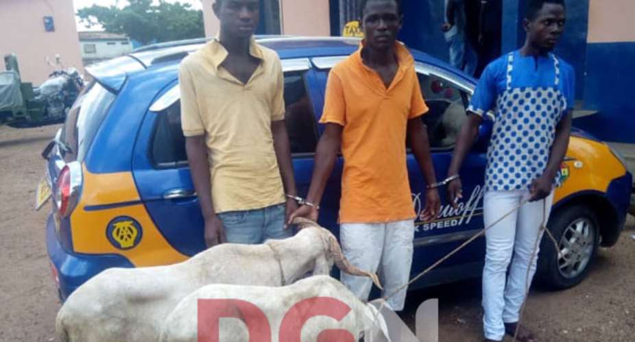Three friends arrested for stealing sheep