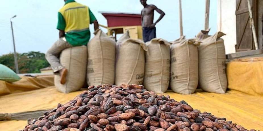 Cocoa prices to decline by over 50% globally in 2026 – World Bank