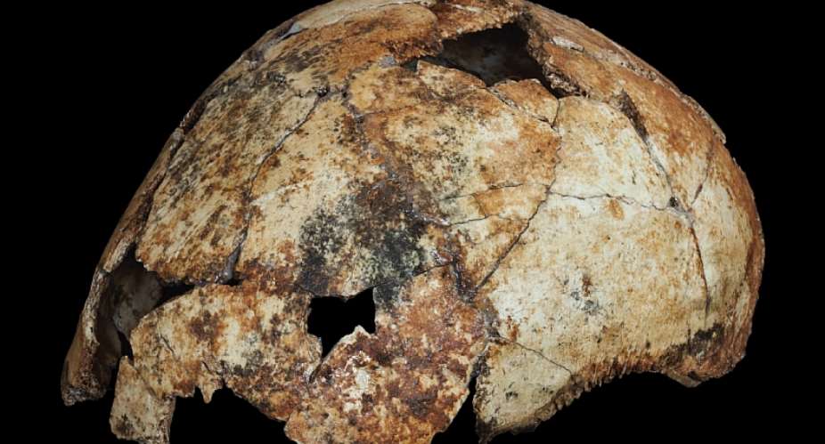 The 2 Ma Homo erectus cranium, DNH 134, from the Drimolen Fossil Hominin site. - Source: Matthew V. Caruana