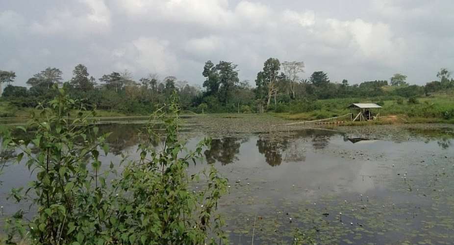 Environmental Protection: Our Civic Responsibility