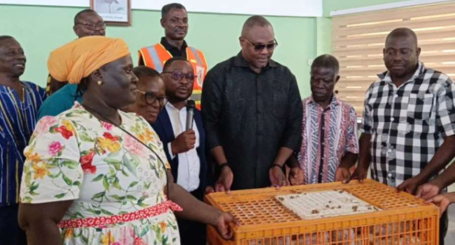 CCMA distributes 8,000 broilers to farmers under ‘Nkoko Nkiti Nkiti’ initiative