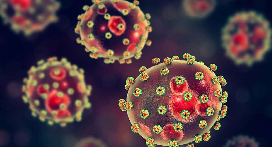 Ghana free from Lassa Fever — GHS