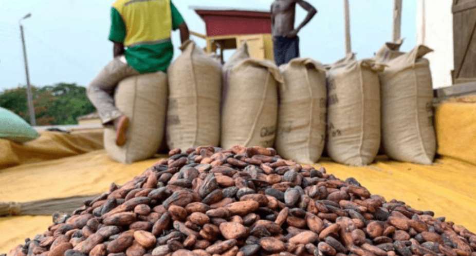 Cocoa price increased by 58.26, a bag now sells GH2,070 — Cocobod