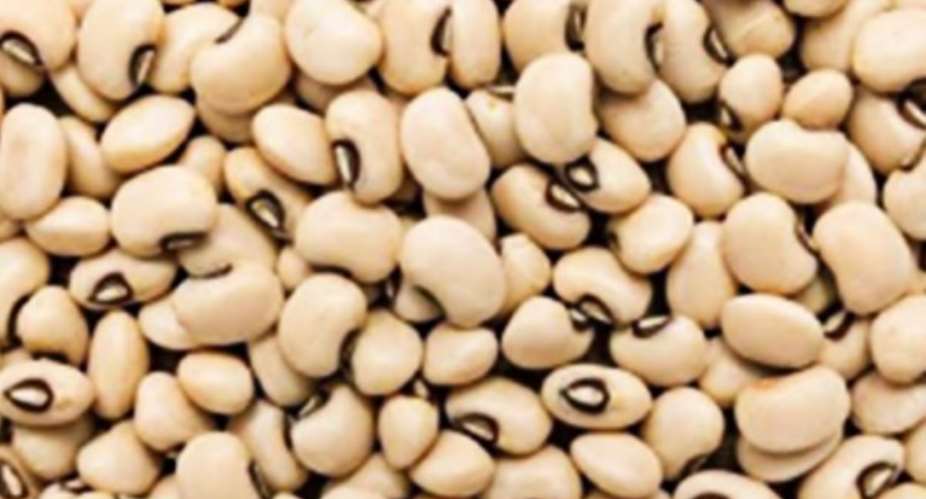 Centre for Climate Challenge opposes approval of Borer Resistant Cowpea in Ghana