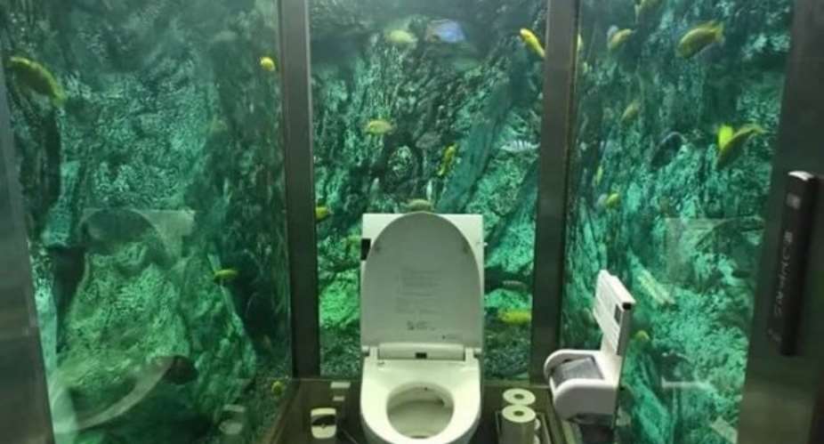 Check Out Japan's Famous Aquarium Toilet