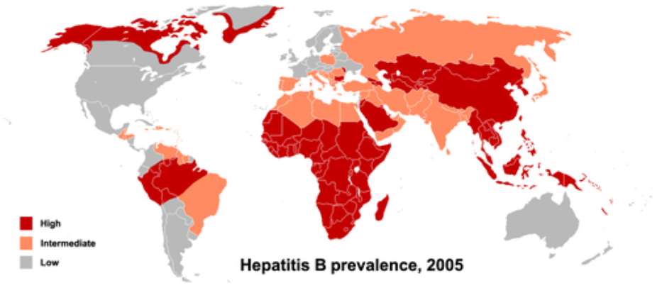 IS HEPATITIS B CURABLE?