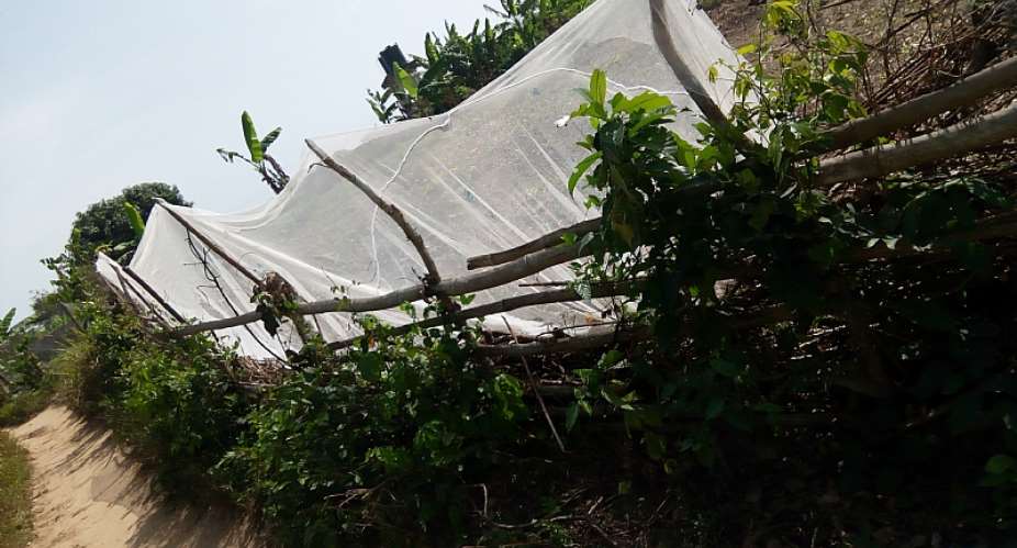 The Fight Against Malaria In The Land Where ITNs Are Used For Fencing Gardens