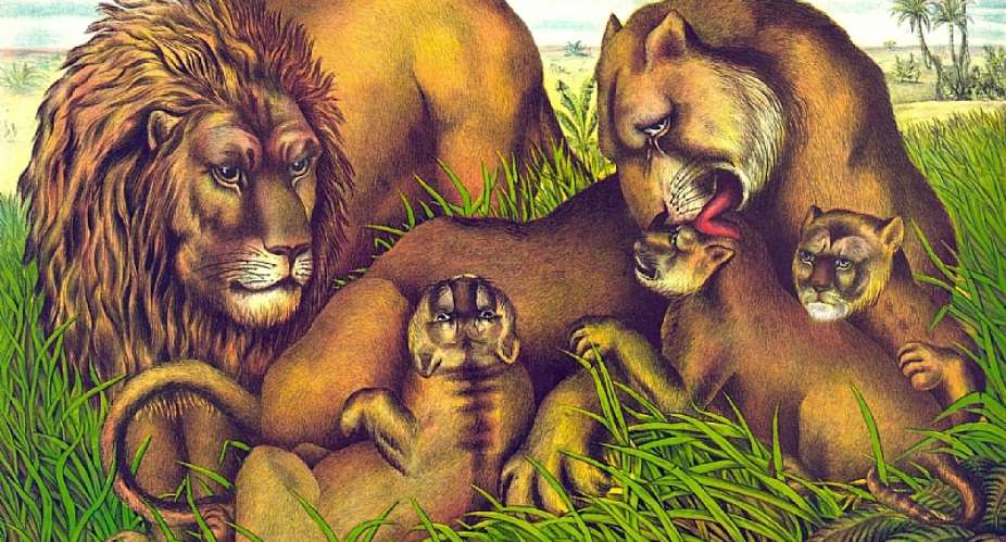 Certain animals, like the lion, carry deep cultural and spiritual significance. But they also face extinction. - Source: Library of Congress