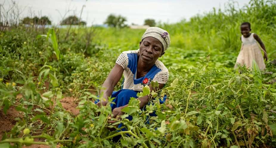 Nviron Hive, Tree Aid to fund 200,000 tree regeneration initiative in Yendi