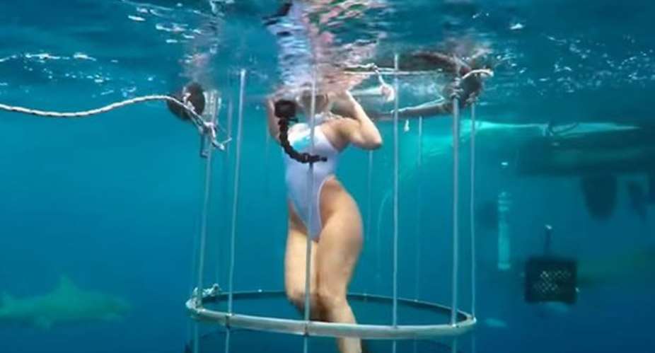 Porn star accused of faking shark attack for viral glory