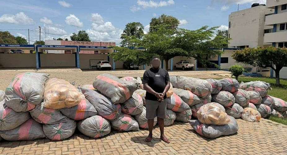 Eastern Region: Police seize 1,600 parcels of suspected Indian hemp, foil GH¢100,000 bribery attempt