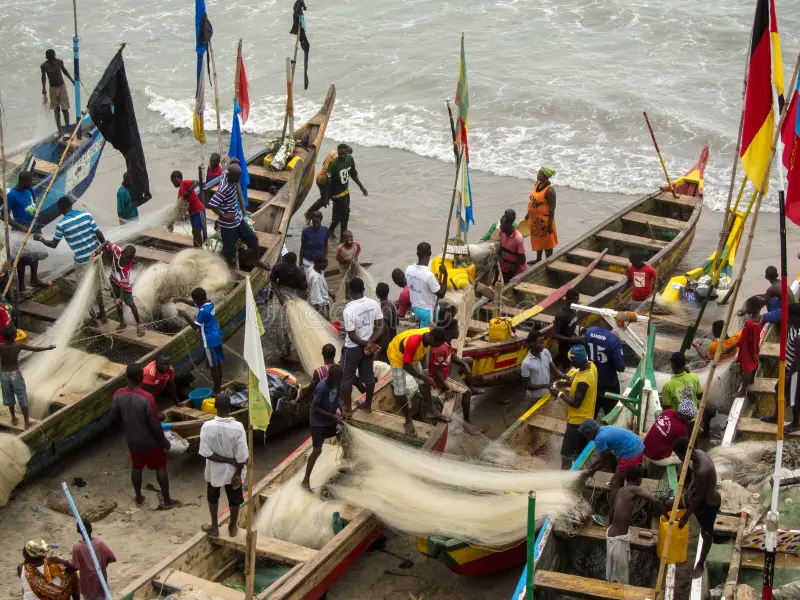 Illegal fishing: Artisanal Fisherman alleges bribery of observers, calls for military on trawlers