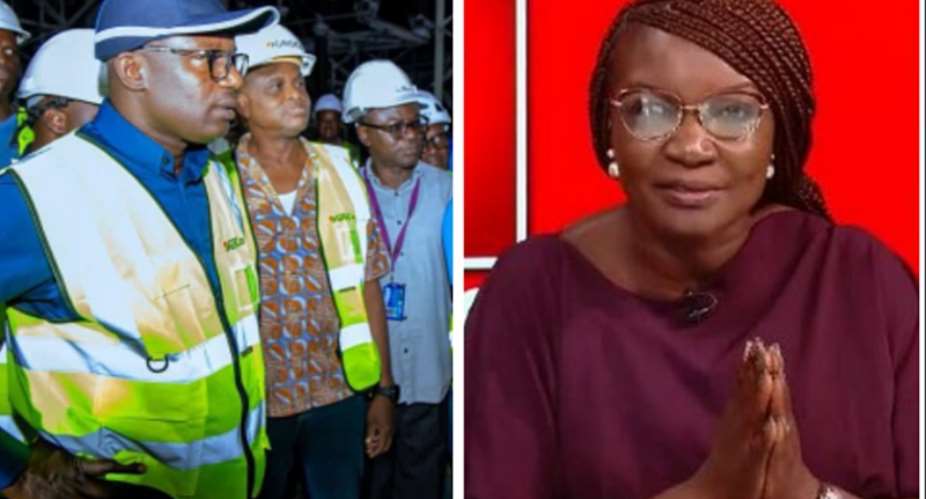 ‘This is leadership’ — Joyce Bawah lauds Energy Minister over restoration of Akosombo turbines