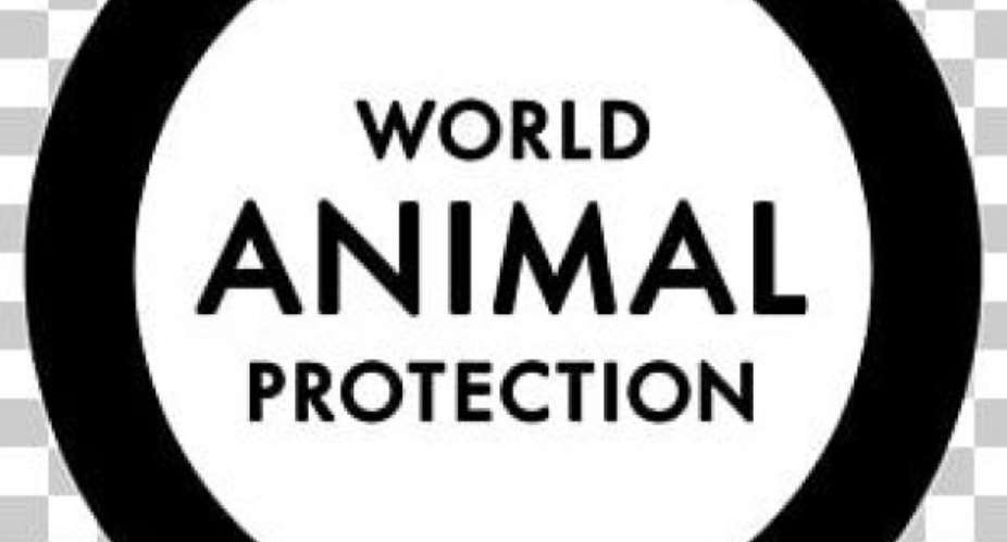 Covid-19: G20 Must Ban Wildlife Trade To Protect Animals