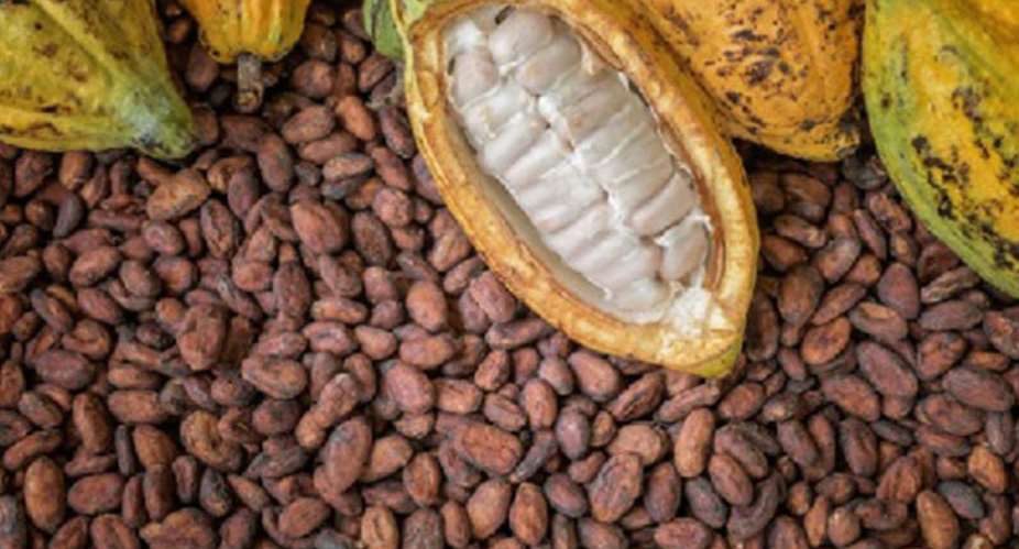 Beyond Cocoa: Why Ghana Must Diversify Its Export Agriculture