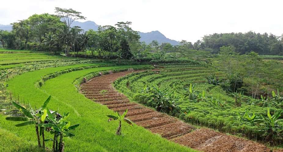 Agro-Rings Are How African Cities Stay Fed When Borders Close