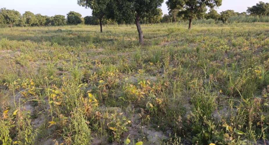 The Use Of Indigenous Knowledge And Advocacy Is The Surest Way To Overcome Environmental Problems In The Upper West Region