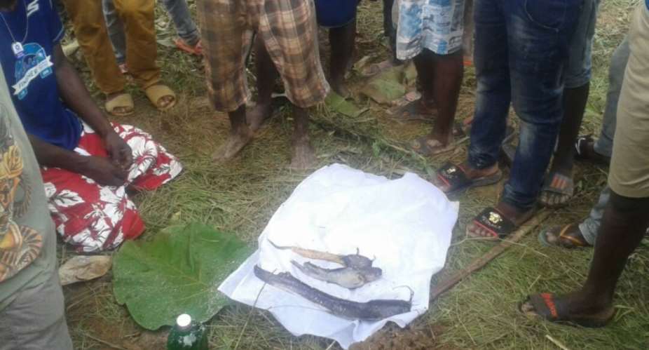 Youth Hold Funeral Service For Three Fishes Amid Rituals
