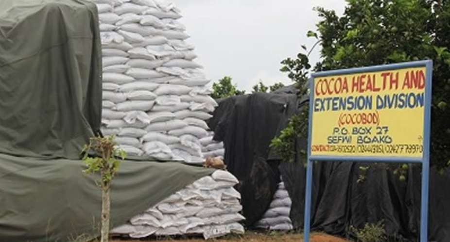 Cocoa fertilizers: freebies out, subsidies in as price falls as low as GH?20