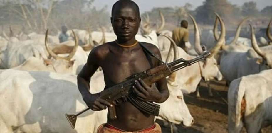 A Problem Like Fulani Herdsmen