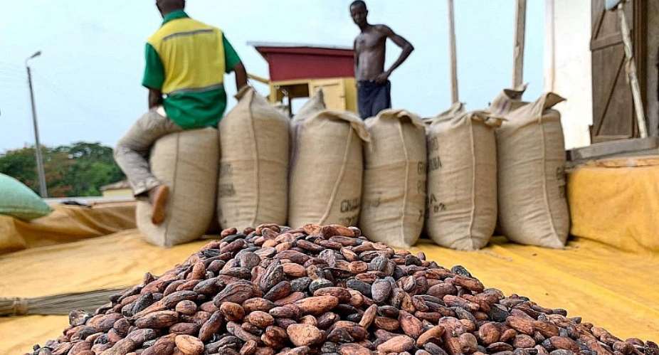 BoG to raise $1billion locally to finance 2026/2027 cocoa purchases, deepen domestic bond market