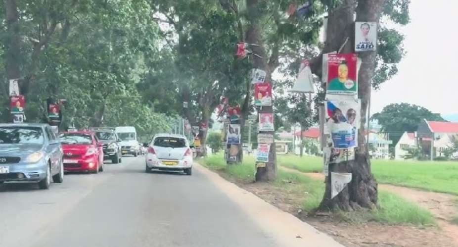 Felling of trees along the Atomic-Kwabenya highway must cease immediately — A Rocha Ghana
