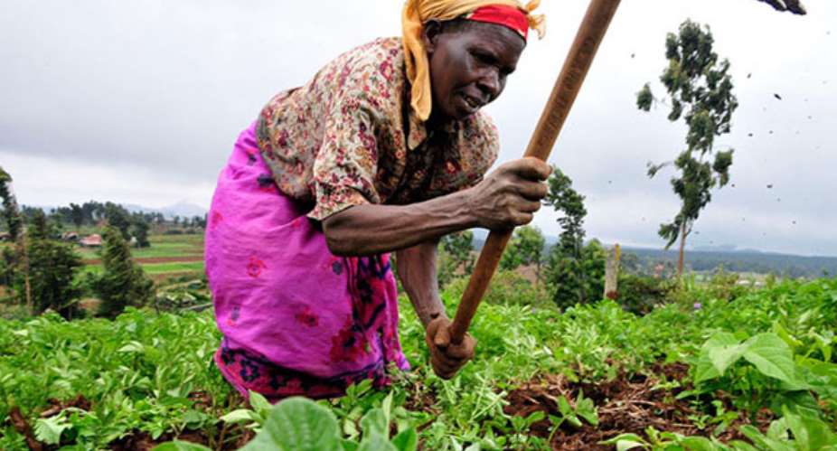 A woman on her farm.Photo credit: USAID