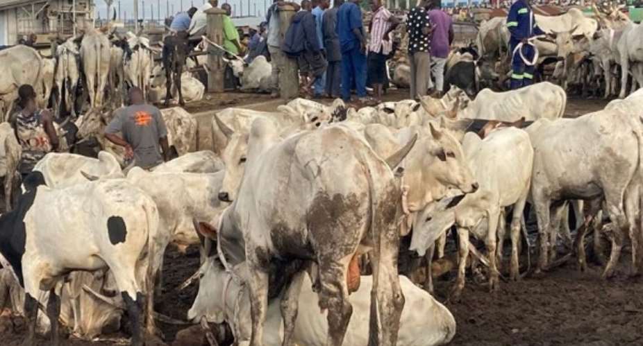 PAC urges Greater Accra Regional Minister to shut down livestock market at Kanda
