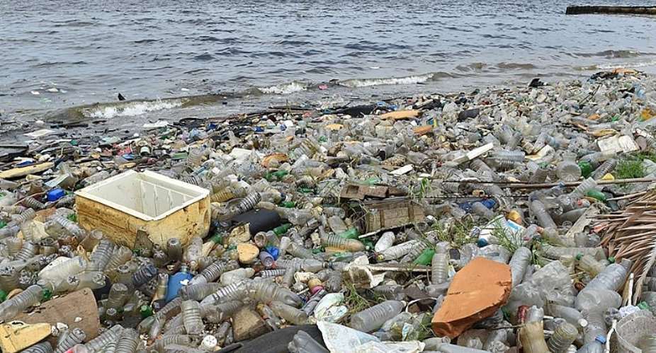 Our Coastal Waters Are Gradually Becoming Dead Zones Due To Poor Sanitation