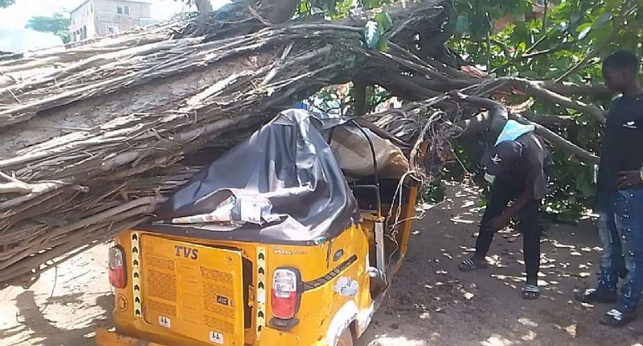 Tree falls on motor tricycle at Kumasi Racecourse Market, one critically injured