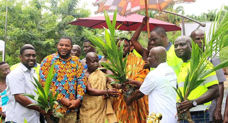 Anglogold Ashanti, Obuasi Mine to rescue degraded lands with 60,000 more oil palm seedlings
