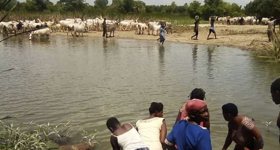 Neglect Of Water Treatment Plant Causing Some Communities In Southern Volta To Run Double Track With Animals For Water.