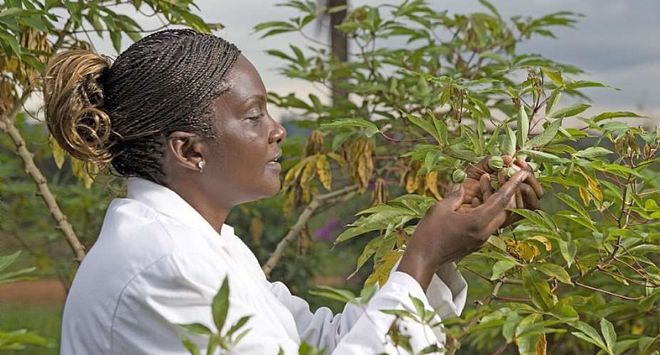 Jane Nabawanuka, Research Officer Kwanda Agricultural Research Institute, Kampala, Uganda