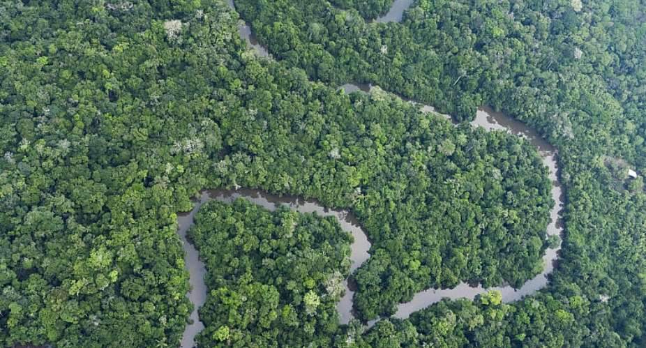 Brazil lost 985,000 hectares of native vegetation in 2025, though deforestation in the Amazon fell to its lowest level since 2019, according to monitoring network MapBiomas. - AP - Victor R. Caivano