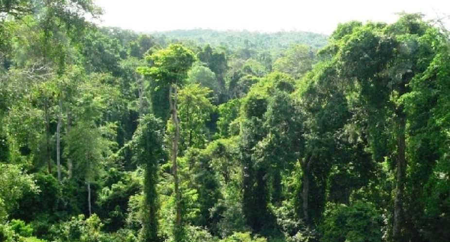 Declassifying Achimota forest not in conformity with land use act — Institute of Planners