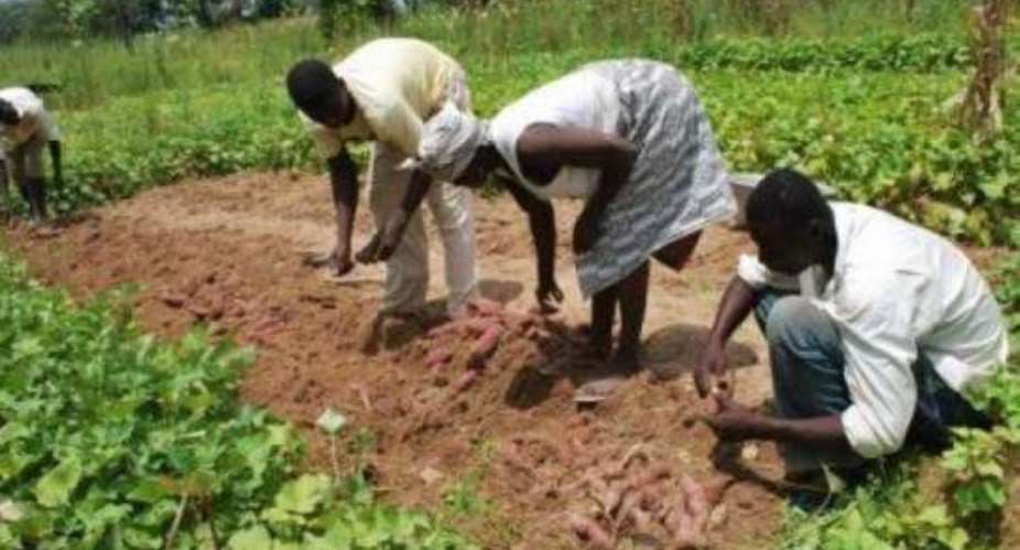 Planting for food and jobs programme receives support