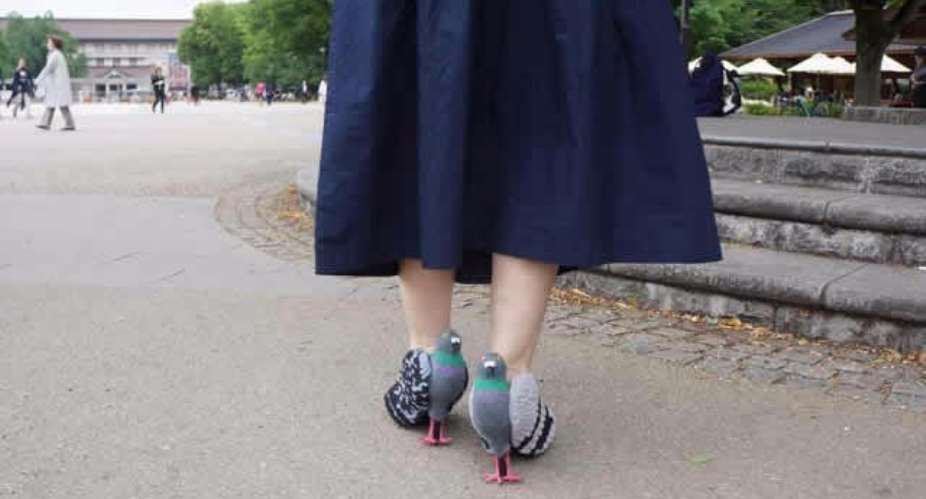 Woman creates pigeon-shaped shoes in attempt to get close to real pigeons