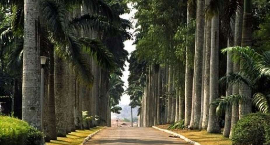 Aburi garden undergoing renovation to famous Kew Botanical Garden in London – Gov’t