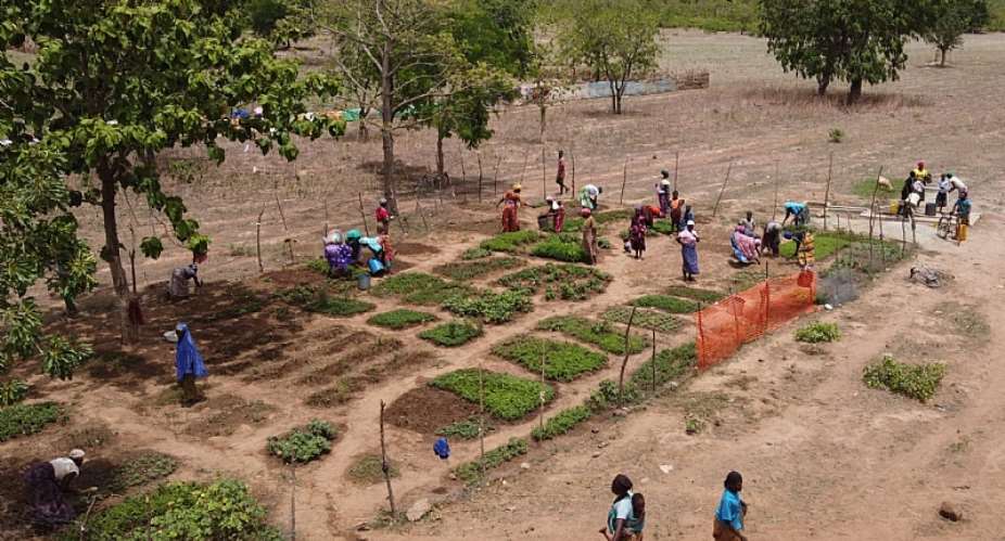 Ending Hunger, One Household Farm at a Time