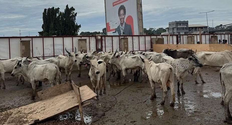 Hudai Foundation Distributes 1,500 Cows to Muslim Families for Eid-ul-Adha