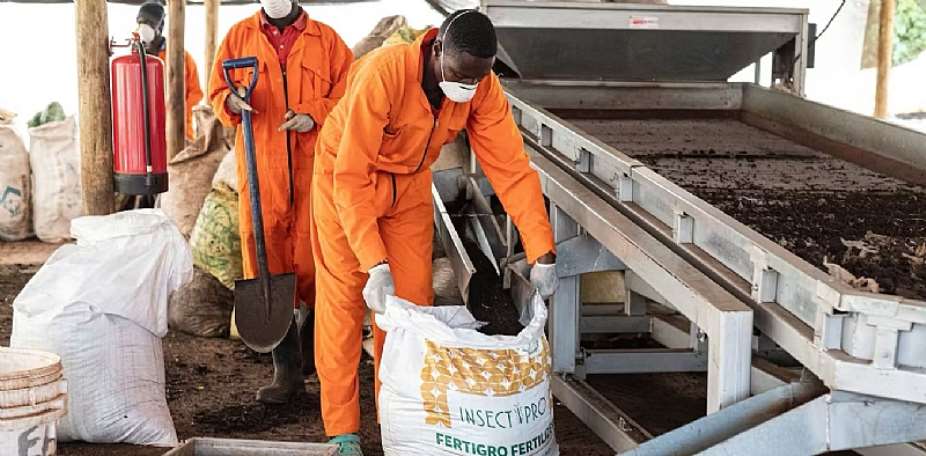 80% of Africa’s fertiliser is imported: how food systems can adapt to the Iran shock