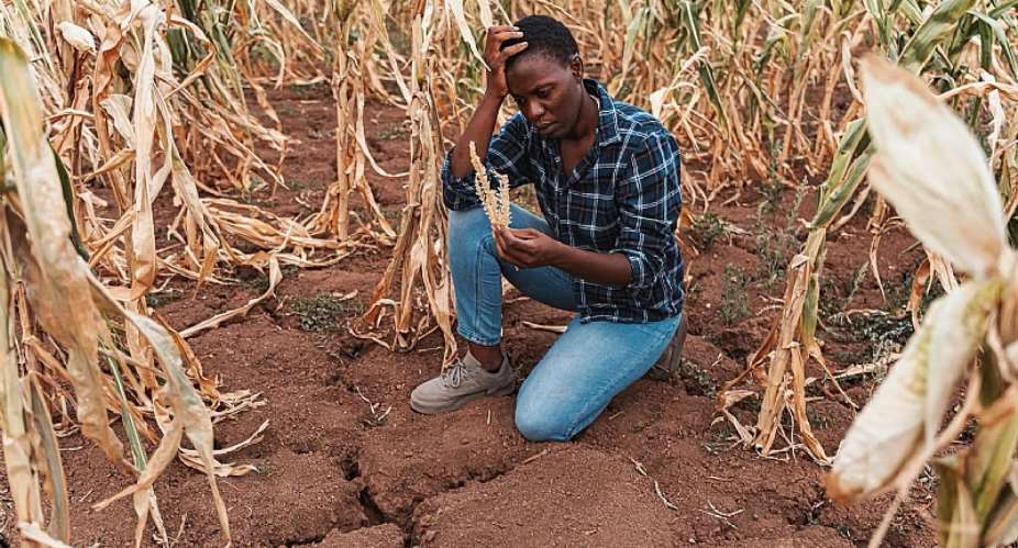 Extreme heat is a growing threat to health, jobs and food security in southern Africa – study looks for practical solutions