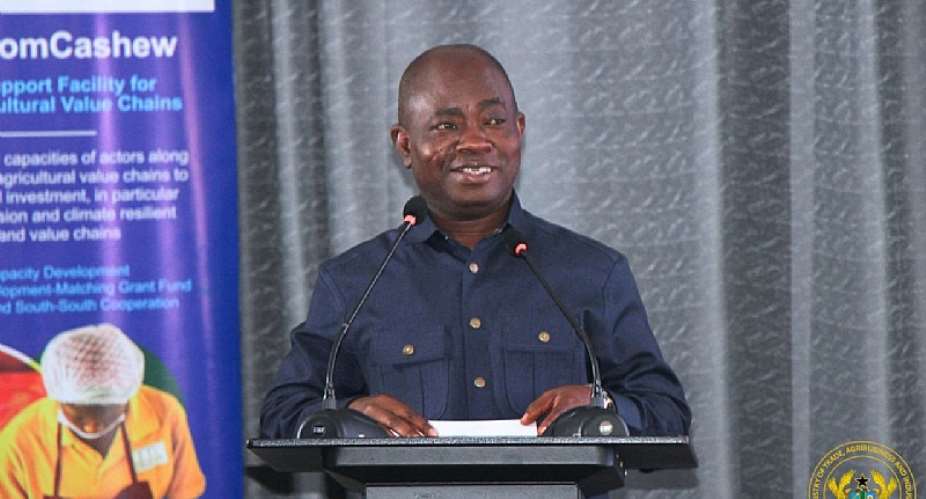 Deputy Trade Minister calls for industrial utilisation of cashew apple to drive agro-processing growth