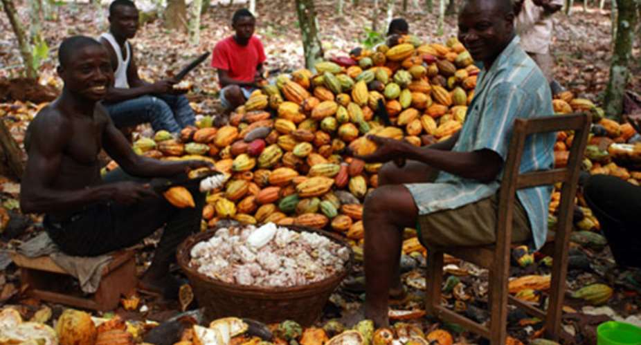 Insurance For Cocoa Farmers – An Idea Whose Time Has Come